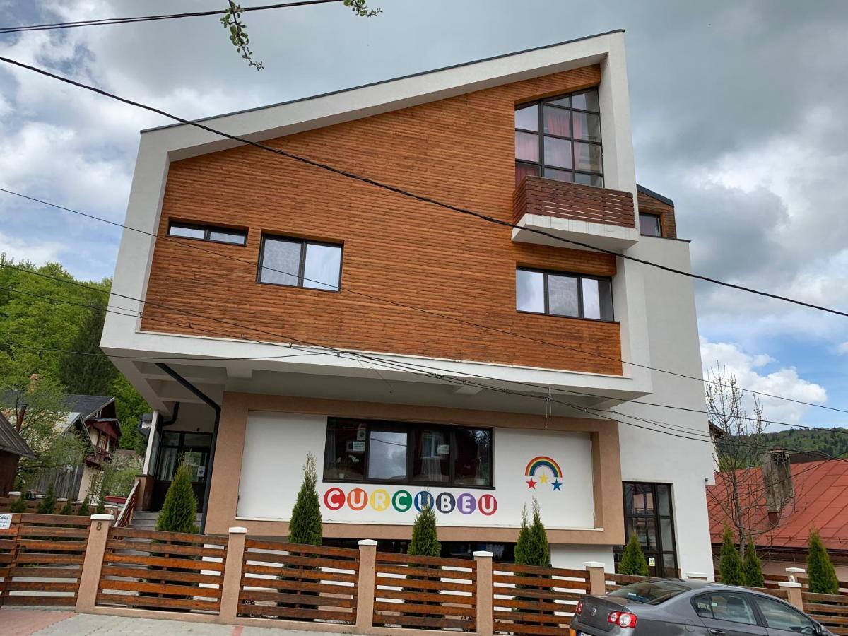Vila Curcubeu Hotel Buşteni Zewnętrze zdjęcie