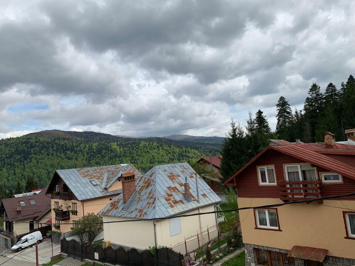Vila Curcubeu Hotel Buşteni Zewnętrze zdjęcie