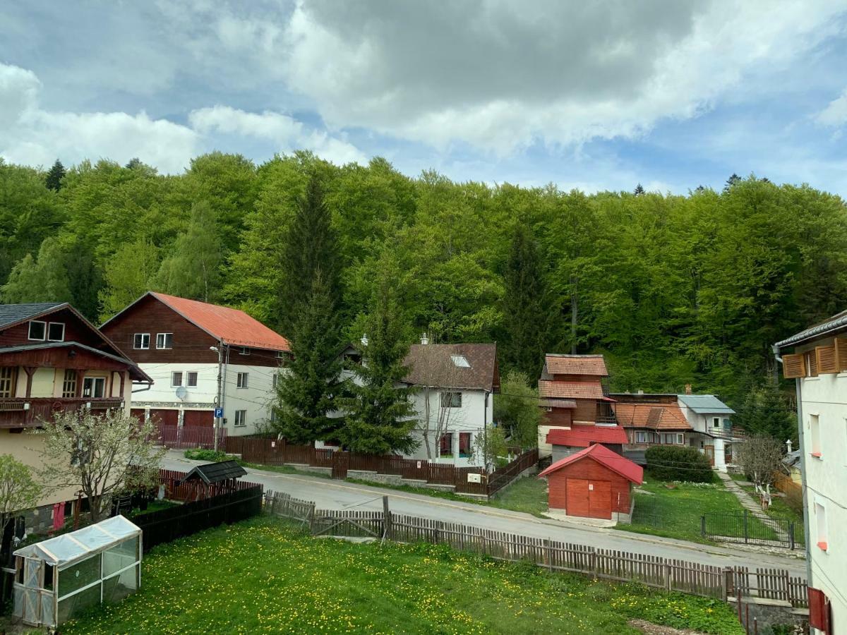 Vila Curcubeu Hotel Buşteni Zewnętrze zdjęcie