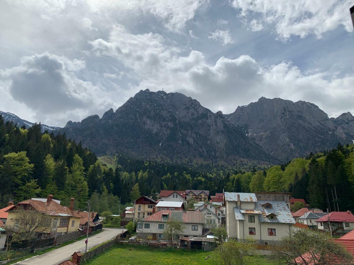 Vila Curcubeu Hotel Buşteni Zewnętrze zdjęcie