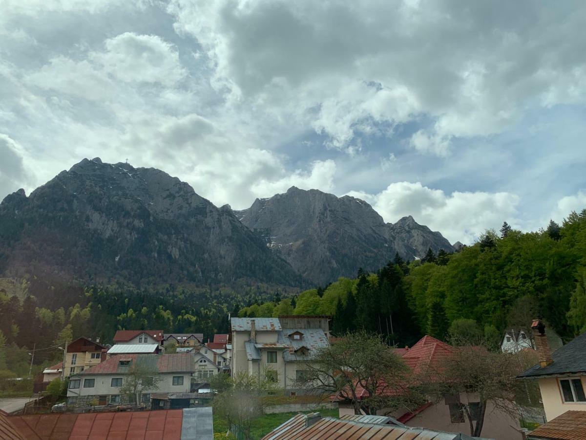 Vila Curcubeu Hotel Buşteni Zewnętrze zdjęcie